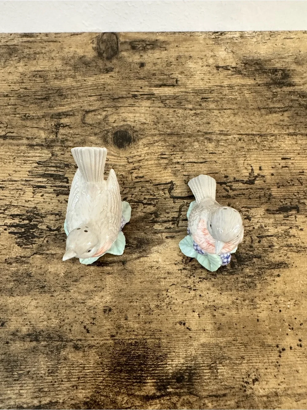 Vintage Bird Salt & Pepper Shakers | Porcelain Floral Berry